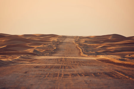 Empty desert road in the middle sand dunes. Abu Dhabi, United Arab Emirates