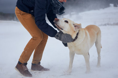 Young man in warm clothing stroking dog on snowy field. Pet owner with his labrador retriever during snowfall.の写真素材