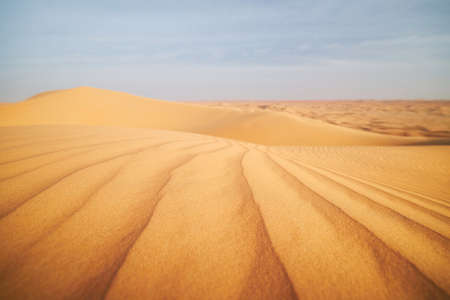 Selective focus on pattern of sand dunes in desert landscape. Abu Dhabi, United Arab Emiratesの写真素材