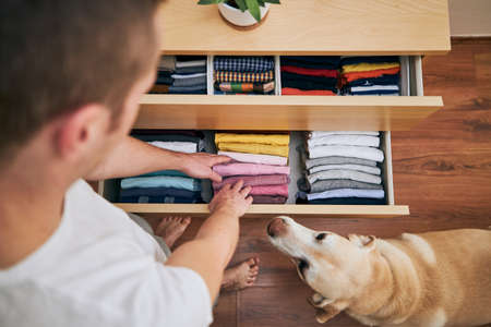 Organizing and cleaning home. Man preparing orderly folded t-shirts in drawer with his curious dog.の写真素材