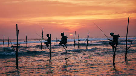 Silhouettes of three fishermen at beautiful sunset. Traditional stilt fishing in Sri Lanka.の写真素材