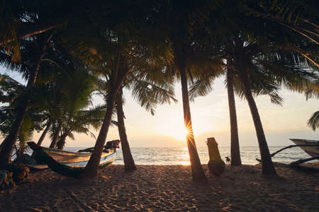Fishing boats on sand beach under palm trees against sea. Sunrise above Indian Ocean in Tangalle, Sri Lanka.の写真素材