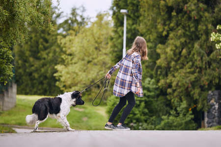 Teenager girl pulling his stubborn dog on pet leash during walk in city.の写真素材