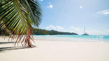 Palm leaves on beautiful white sand beach with turquoise sea. Anse Lazio in Seychelles.の写真素材
