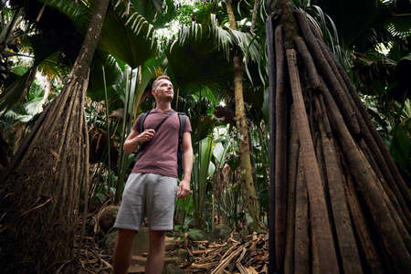 Young man with backpack discovering jungle. Traveler in tropical rainforest in Seychelles.の写真素材