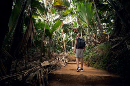 Young man with backpack discovering jungle. Traveler in tropical rainforest in Seychelles.の写真素材