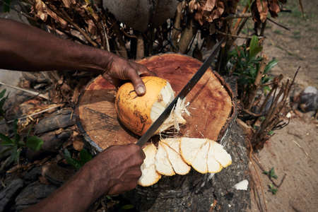 Man cuttiing fresh coconut by machete at local market in Seychelles.の写真素材