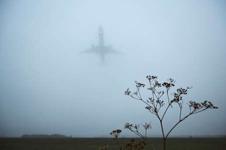 Airplane approaching for landing during gloomy autumn day. Silhouette of plane in thick fog and selective focus on plant.の写真素材