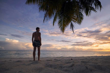 Rear view of young man on white sand beach under palm tree. Tourist in swimwear watching colorful sunset in Maldives.の写真素材