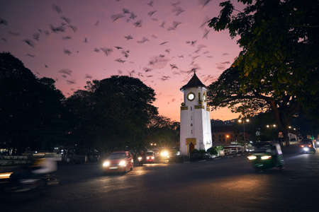 Flock of birds on sky above city at dusk. Traffic around clock tower on street in Kandy, Sri Lanka.の写真素材