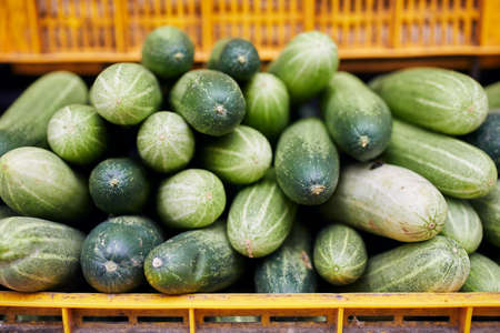 Selective focus on cucumber. Sale of fresh raw vegetable in market stall.の写真素材