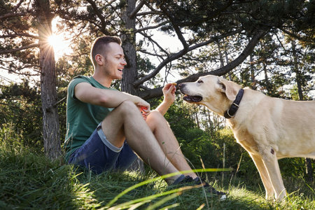 Man with his dog sitting in grass under tree during sunny summer day. Pet owner holding cookie for his cute labrador retriever.の写真素材