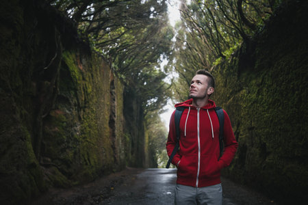 Man admiring mysterious misty forest. Tourist is walking along road between rocks. Tenerife, Canary Islands, Spain.の写真素材