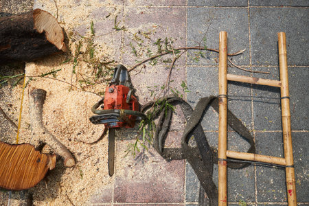Chainsaw and ladder in the middle of the sawdust on sidewalk during the landscaping of park.の写真素材