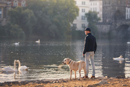 Rear view of man with dog on leash during morning walk in city. Pet owner and his labrador retriever on riverbank of Vltava River in Prague downtown.の写真素材