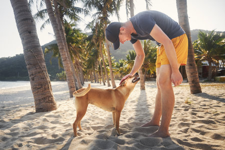 Smiling man in shorts stroking cute dog under palm trees on idyllic sandy beach.の写真素材
