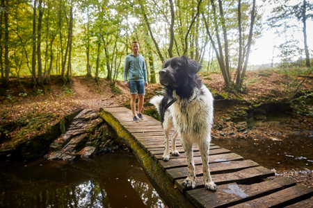 Happy man with dog on wooden footbridge over river. Portrait of Czech Mountain Dog with his pet owner during walk in nature.の写真素材