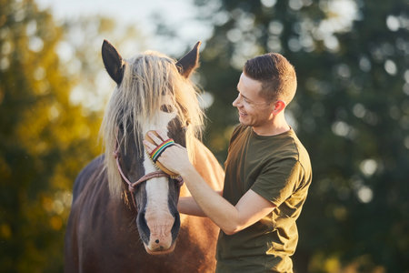 Man during grooming horse on sunny summer day. Close-up of hand while brushing of back of brown mare.の写真素材