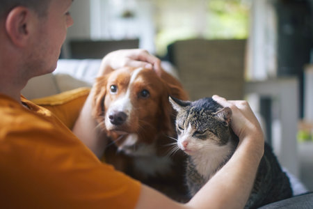 Man sitting on sofa with domestic animals. Pet owner stroking his old cat and dog together.の写真素材
