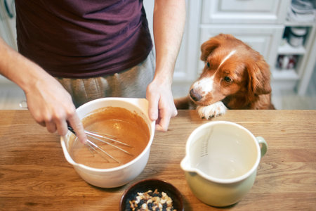 Man and dog together at home in kitchen. Nova Scotia Duck Tolling Retriever watching while his pet owner mixing dough to prepare sweet pie.の写真素材
