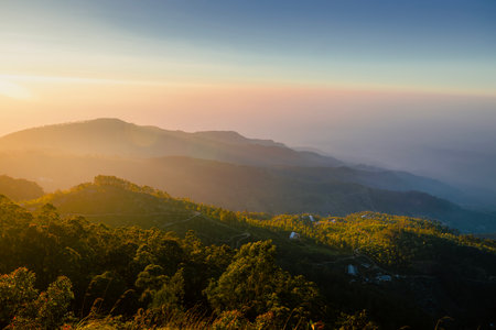 Beautiful sunrise over hills with tea plantations near Haputale in Sri Lanka.の写真素材