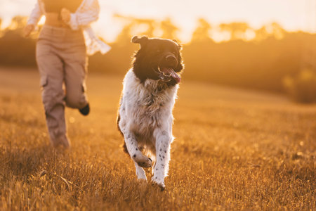 Front view of dog running with girl across field at sunset. Happy Czech Mountain Dog with pet owner.の写真素材