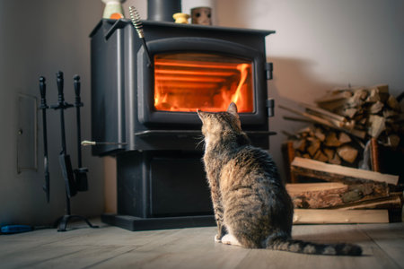 Rear view of domestic cat looking at burning wood in stove at home.の写真素材