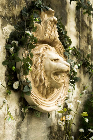 Water lion head spray, but not water!の写真素材