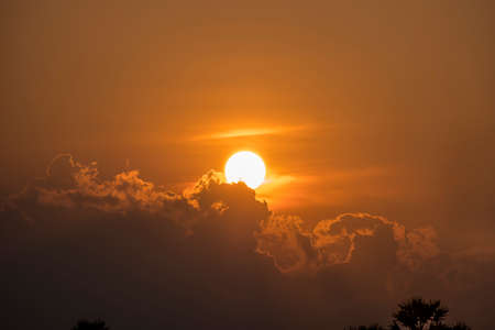 Sunset in the evening in the close-up, beautiful and relaxing.の写真素材