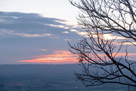 Sunset view In the province of Petchaboon. And the shadow of the branches is the foreground. Make beautiful picturesの写真素材