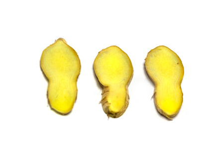 ginger on white backgroundの写真素材