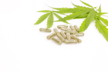 Marijuana leaves isolated on white background.の写真素材