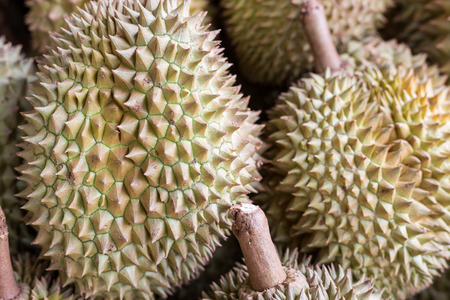 durian fruit