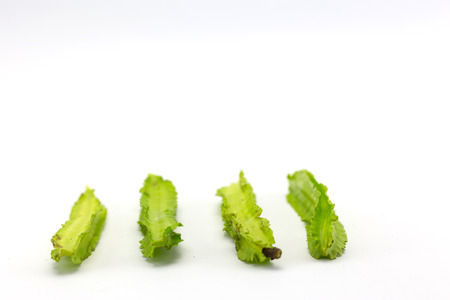 winged bean on white background