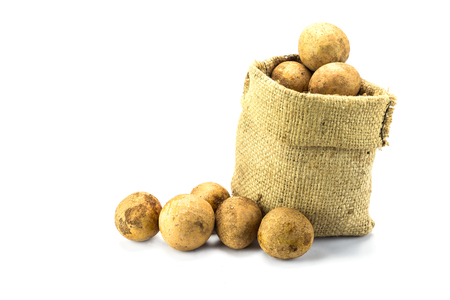 Sapodilla isolated on the white background .の写真素材