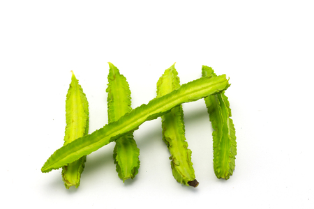 winged bean on white backgroundの写真素材