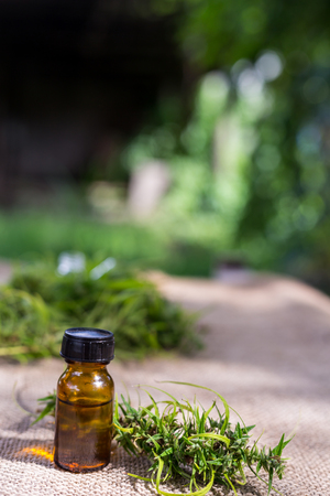 Medicinal cannabis with extract oil in a bottleの写真素材