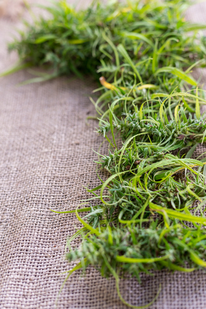 Medicinal cannabisの写真素材