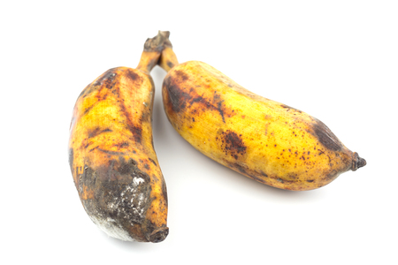 bananas rot on white backgroundの写真素材
