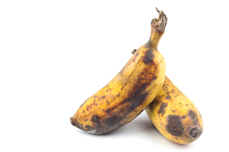 bananas rot on white backgroundの写真素材