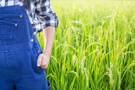 happy asia farmer posing in a Rice fieldの写真素材