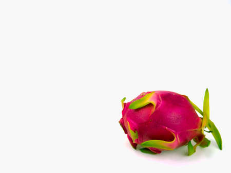 Fresh dragon fruit isolatedの写真素材