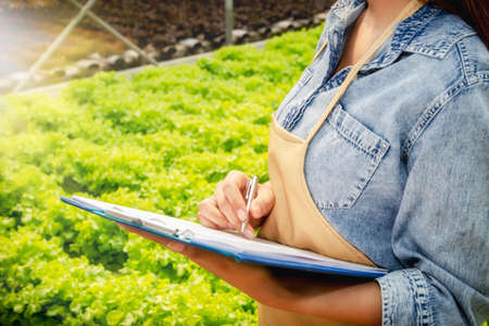 Farmers ,Businesswomen working on organic vegetable farms are closely recording organic produce data in the field for accuracy and quality in the field.の写真素材