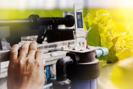Technician operating control system, mixing solution of food and growing ratio " Liquid fertilizer " for Hydroponic vegetables in the organic vegetable farmの写真素材
