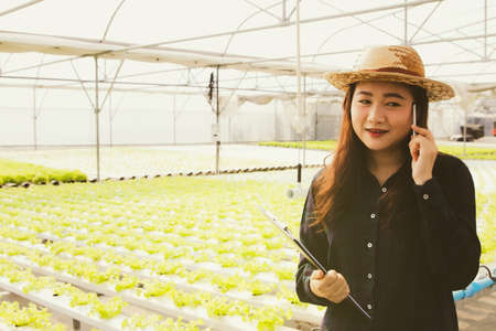Businesswoman, farmer on vegetable farm, non-toxic agriculture, relex, talking on the phone while working, checking the order, organic vegetable plantation, hydroponicsの写真素材