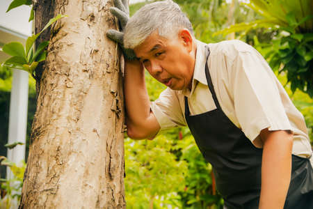 Elderly Asian man, exhaustion, congenital disease, due to working outside the house, very hot weather causing dizziness, standing and balancing on the trees : Concept geriatric disease and immunityの写真素材
