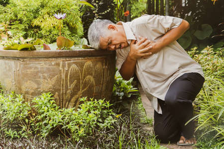 Sixty-year-old Asian man, his body collapsed on the ground next to an outdoor plant pot, was sick of heart disease, severe chest pain, suffering from worrying symptoms : Health conceptの写真素材
