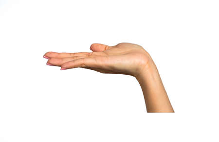 Closeup of the left hand of a woman, gesture of request and happiness isolated on white background : Clipping Pathの写真素材