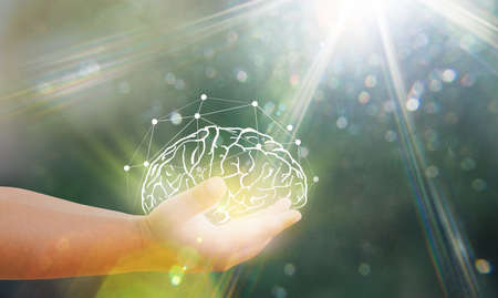 Concept learning and brain development, the health of young children that affect their future intelligence.の写真素材