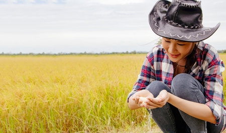 Happy beautiful asian woman farmer sitting in rice field looking at beautiful white rice grains in hand with smile and pride as crops grow near harvest : Successful business womanの写真素材